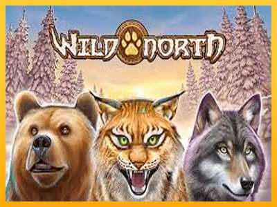 Pul üçün slot maşını Wild North