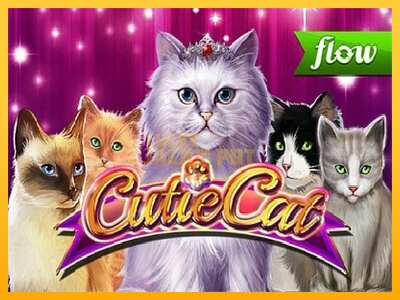 Pul üçün slot maşını Cutie Cat