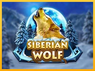 Pul üçün slot maşını Siberian Wolf