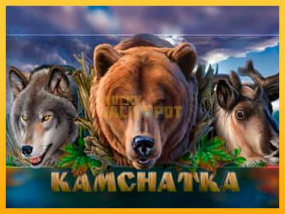 Pul üçün slot maşını Kamchatka