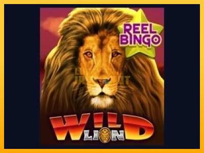 Pul üçün slot maşını Wild Lion with Reel Bingo