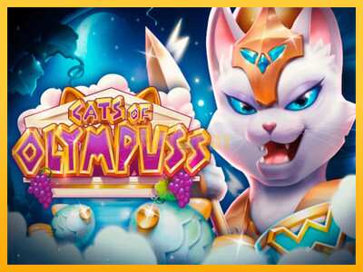 Pul üçün slot maşını Cats of Olympuss