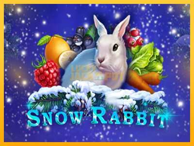 Pul üçün slot maşını Snow Rabbit