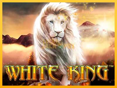 Pul üçün slot maşını White King